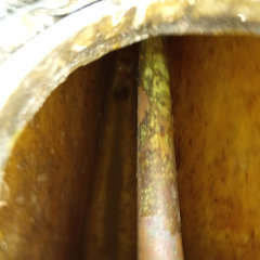 Bilgetank 1